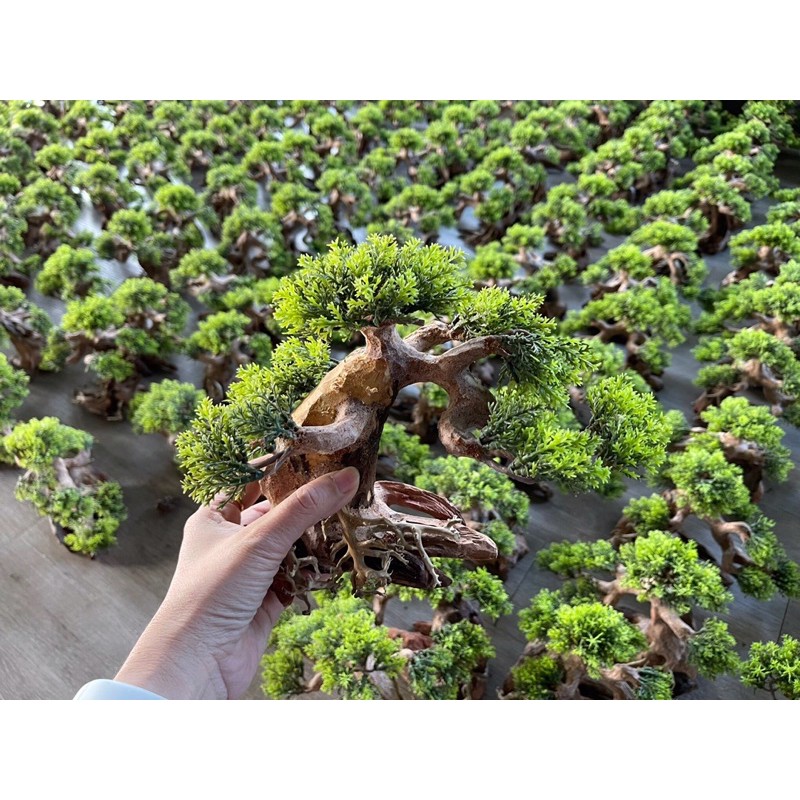 Bonsai Rêu Giả - Bonsai Rêu Nhựa Trang Trí Hồ Cá Thuỷ Sinh