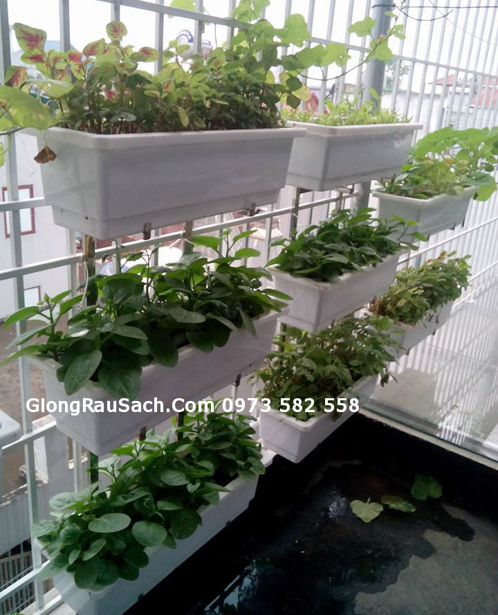 Móc 3 tầng treo chậu trồng cây rau hoa hàng rào rộng 2cm - chưa chậu - 1 móc