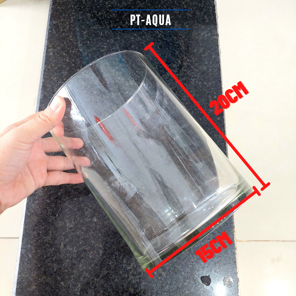Chậu thủy tinh mini trụ tròn ngang 15cm cao 20cm