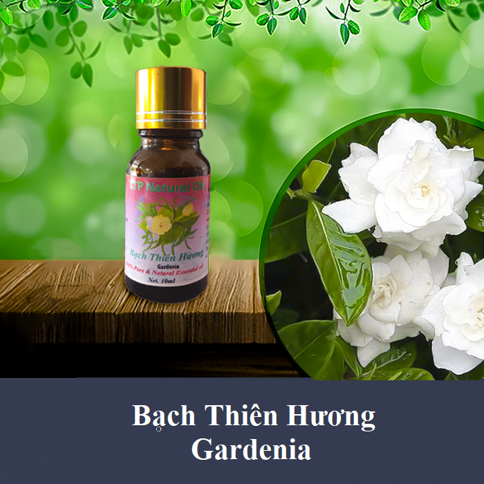 Tinh dầu bạch thiên hương Gardenia - 10ml
