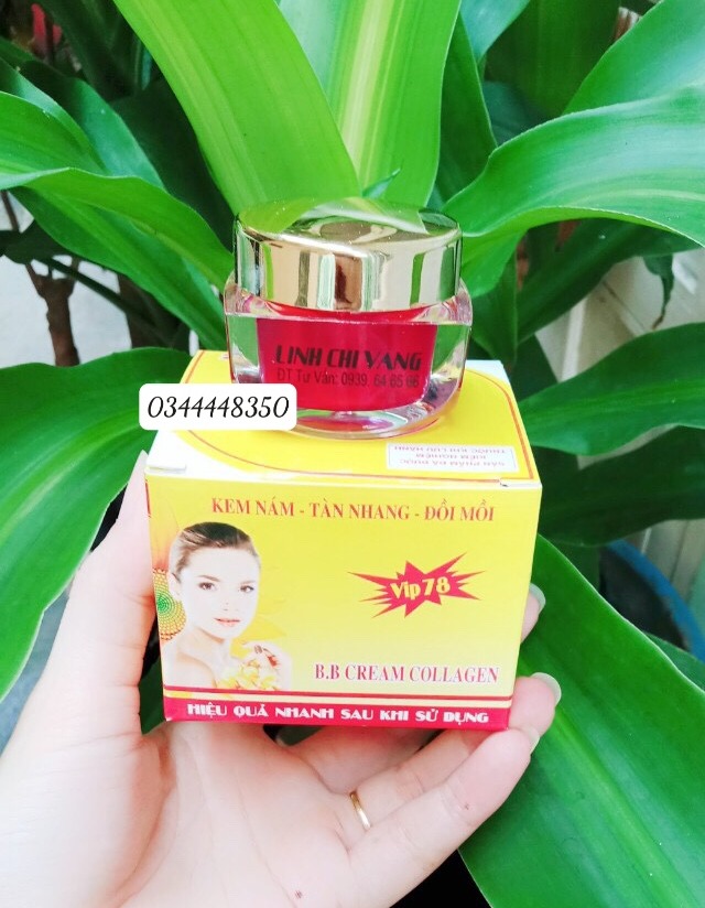 [HCM]KEM NÁM TÀN NHANG ĐỒI MỒI LINH CHI VÀNG 15G