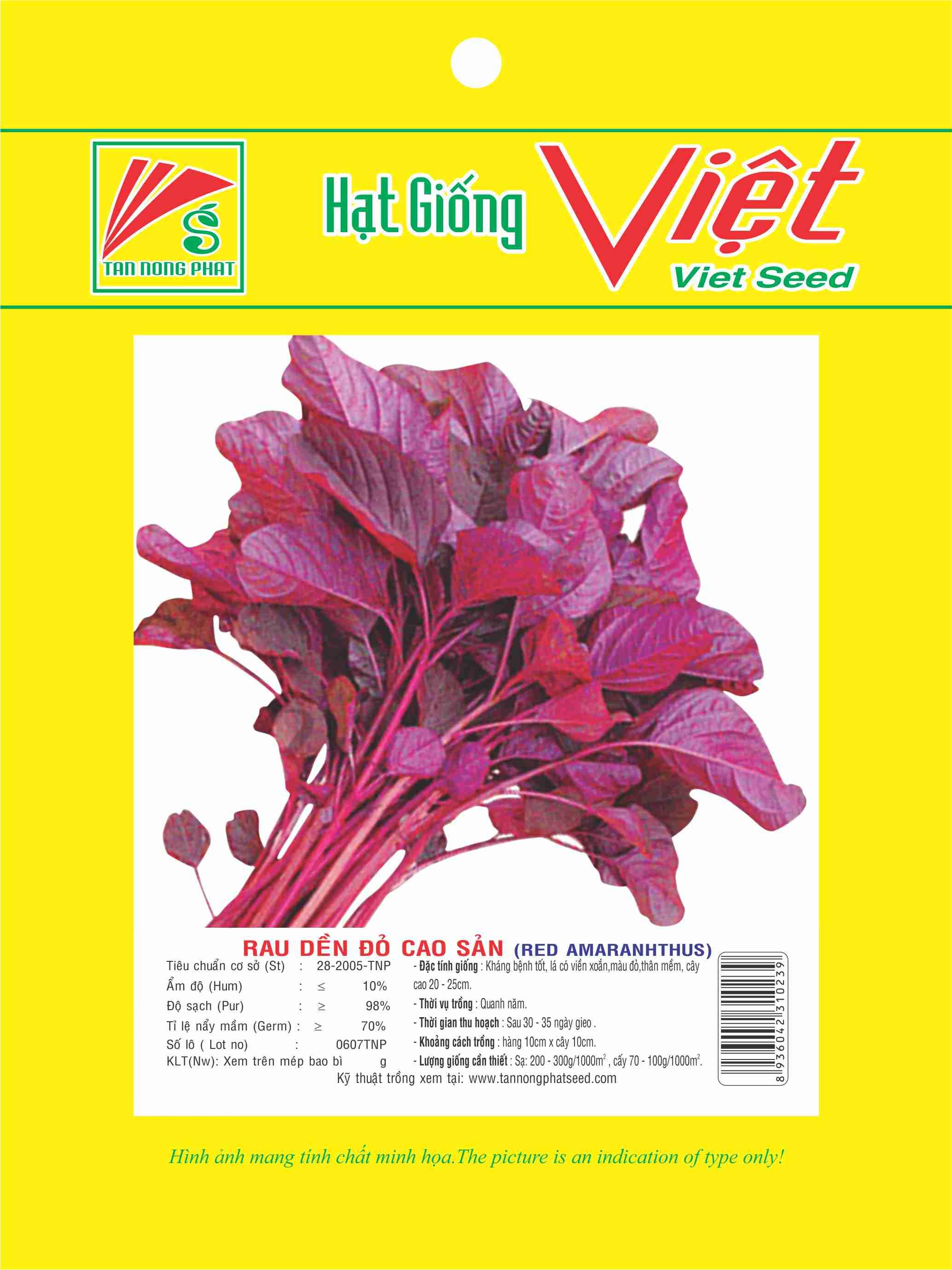 Hạt giống rau dền đỏ 10g