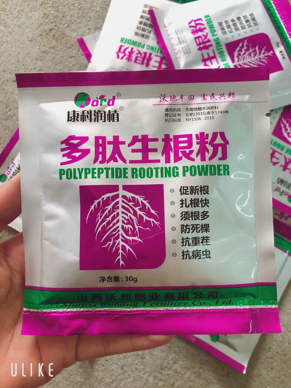 SIÊU RA RỄ CỰC MẠNH - Dùng cho cây cảnh cây hoa : dâmchiết cây phôicây khai thác