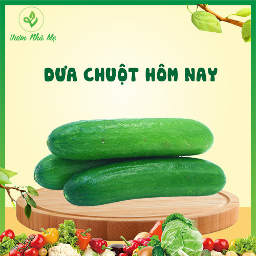 [Giao nội thành Hà Nội] Dưa chuột Vườn Nhà Mẹ - 1kg dưa leo thanh mát, giải nhiệt -  Rau củ quả tươi, sạch, chuẩn VietGap