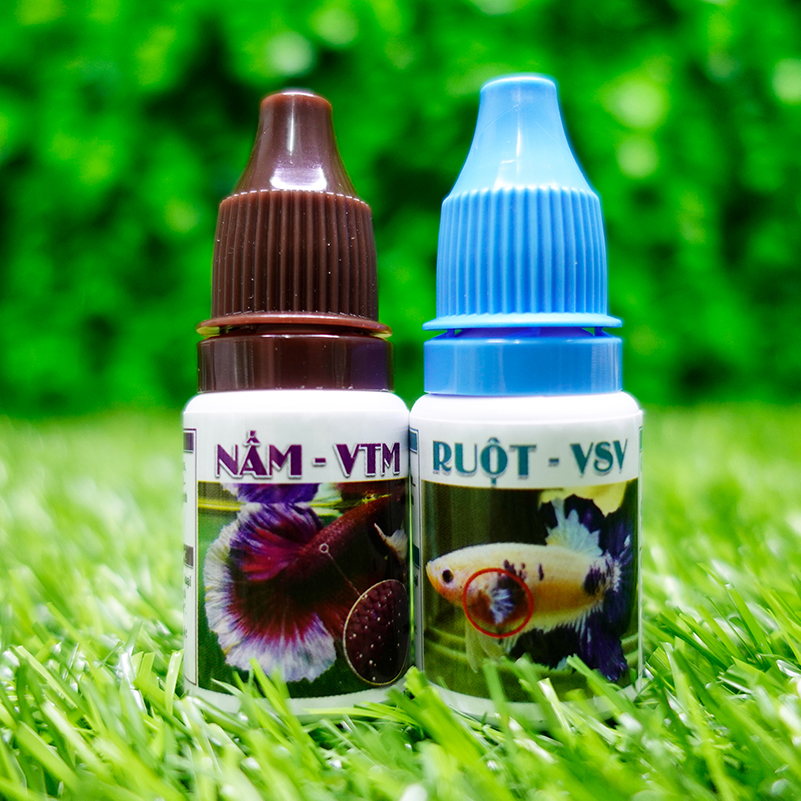 Vi Sinh - Đường Ruột + Nấm 10ml cho hồ cá ✅ BETTA COFFY