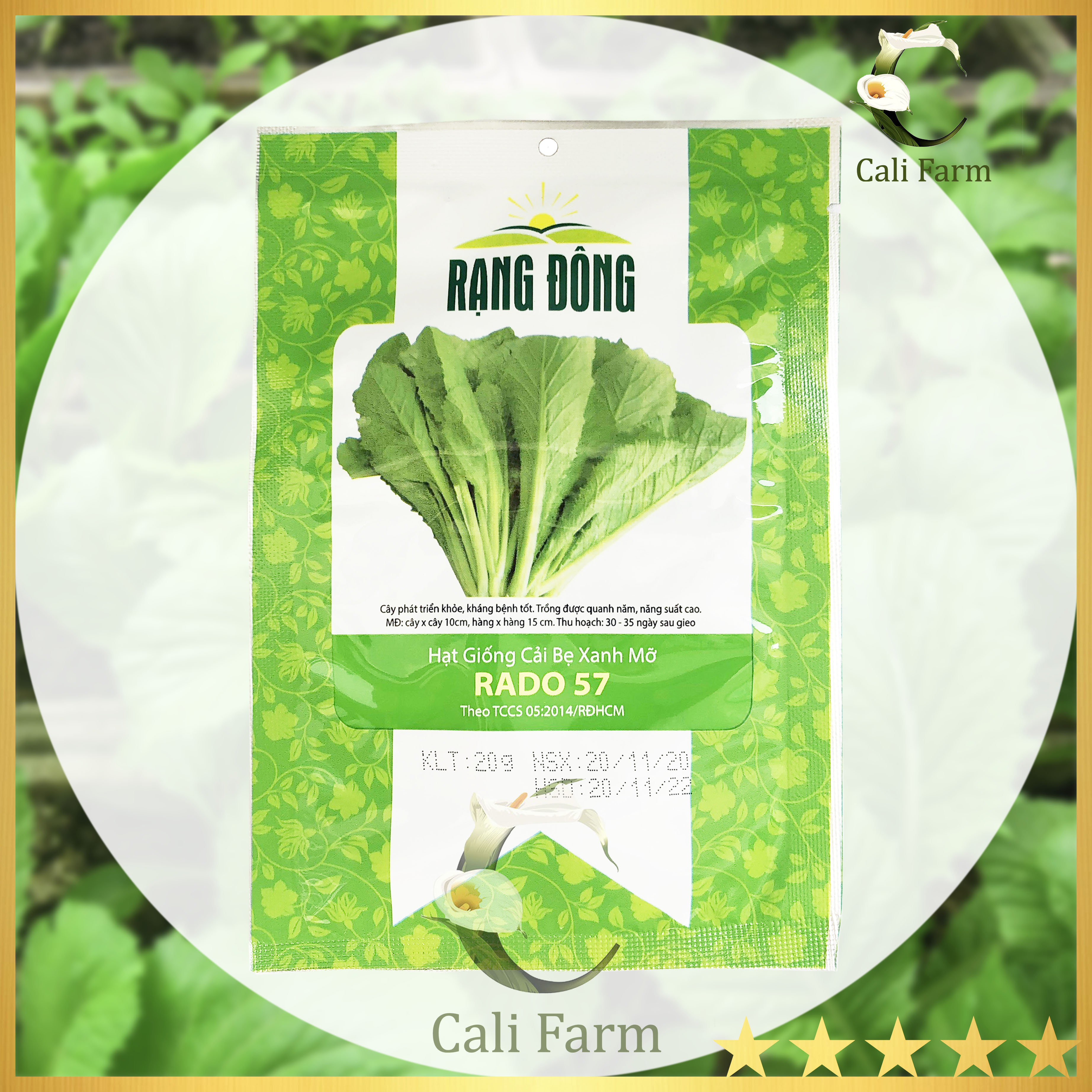 Hạt giống Cải Bẹ Xanh mỡ Rado 57