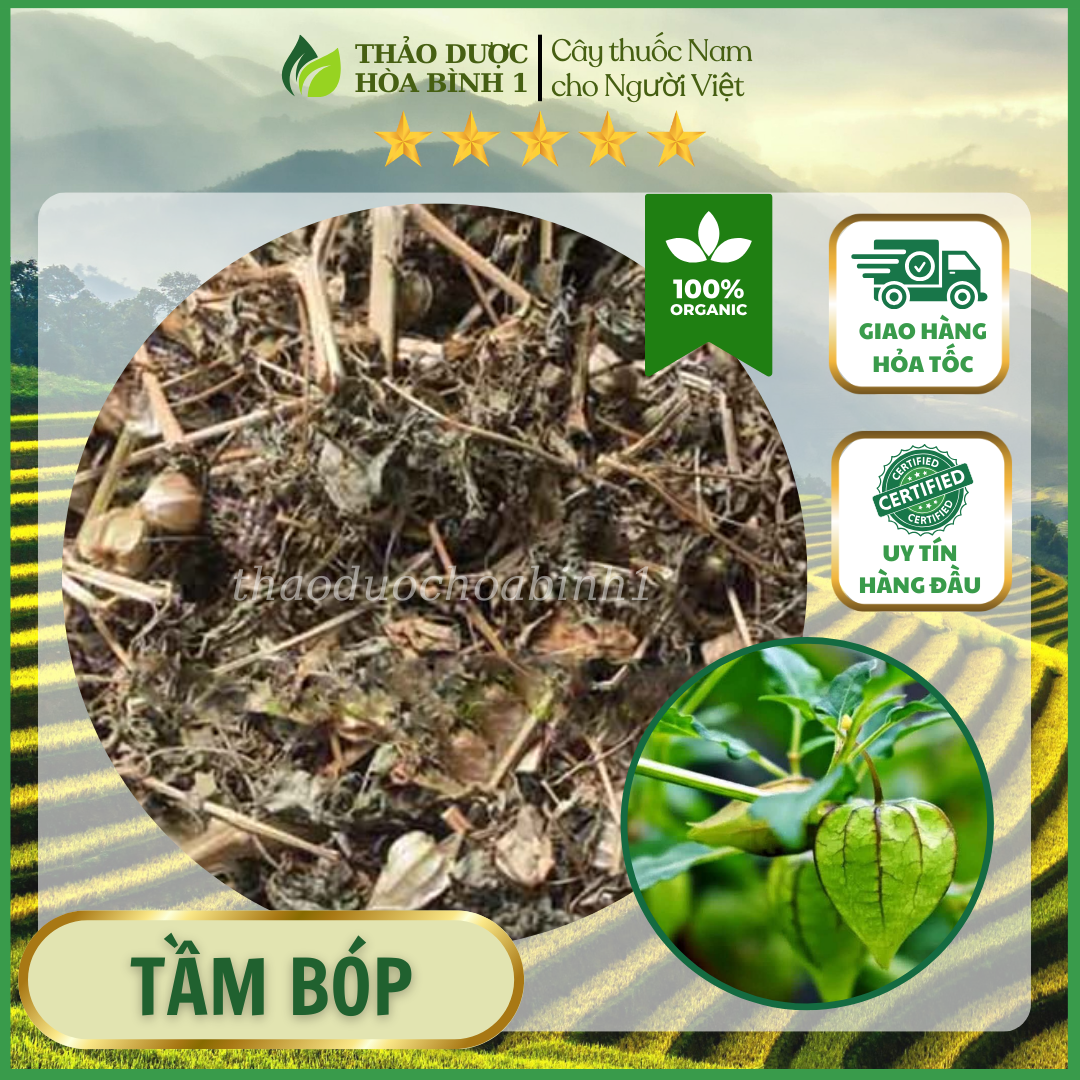 1kg cây tầm bóp khô hb193