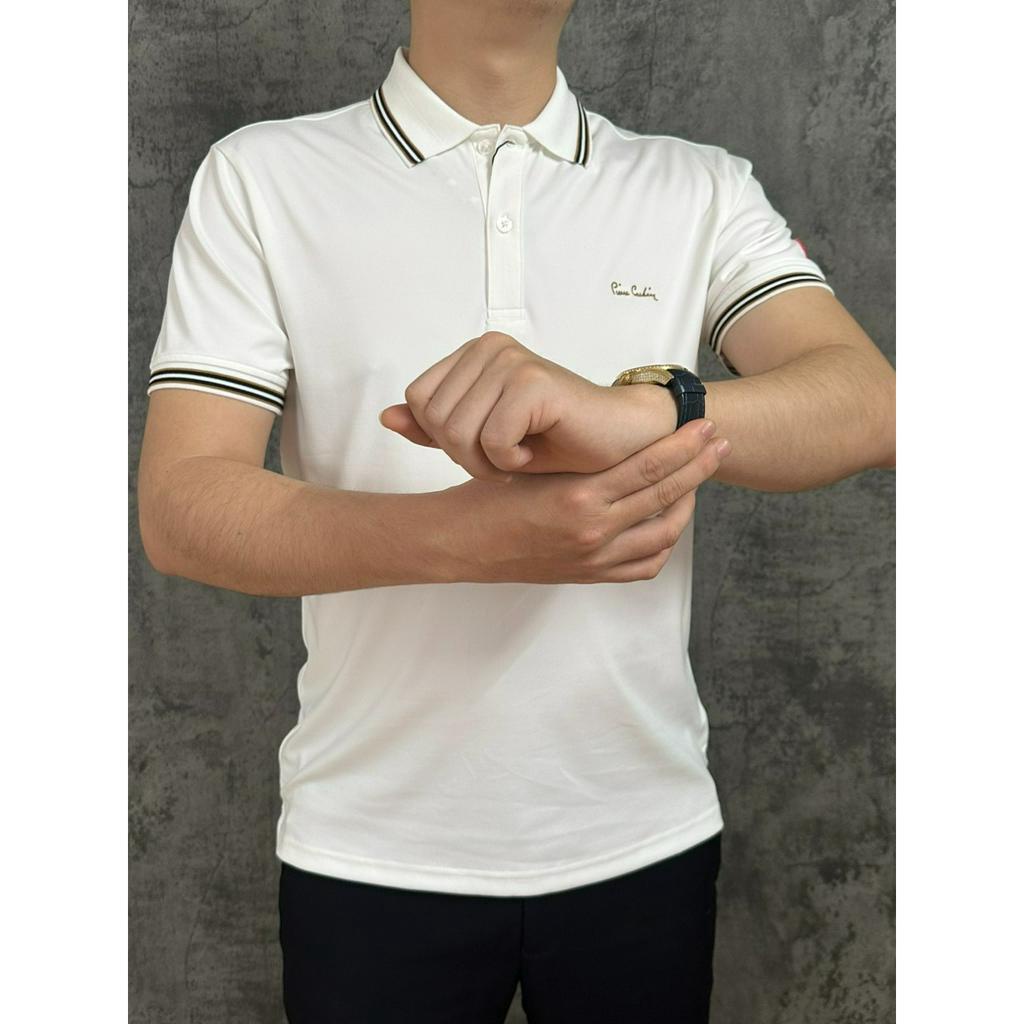 Áo polo pierre cardin, áo thun nam pierre cardin xuất dư hàn mẫu mới nhất 2023