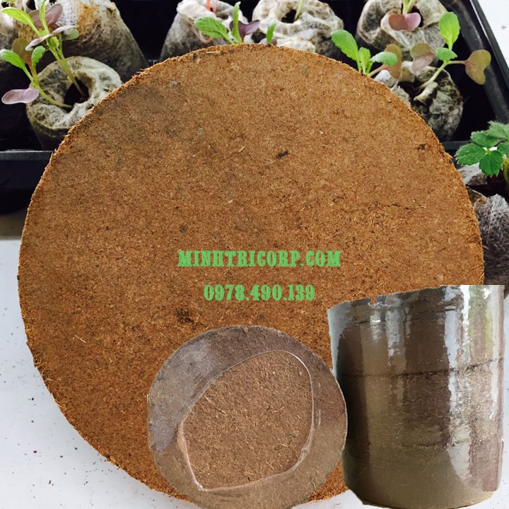 [HCM]BLOCK GIÁ THỂ MỤN DỪA 4 VIÊN