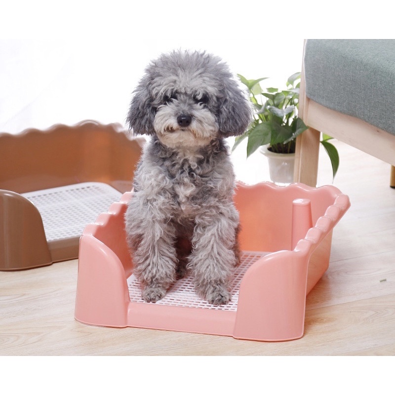 Khay vệ sinh cho chó có cột size to