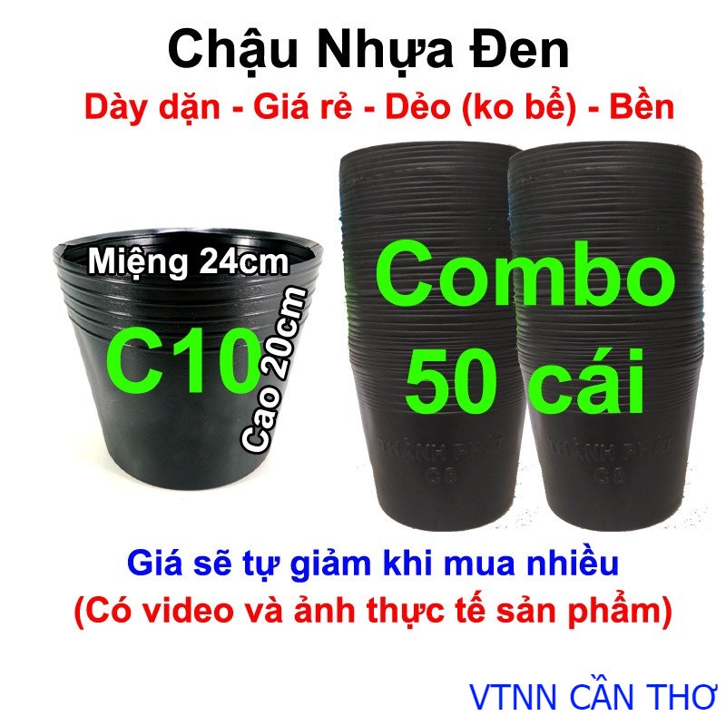 50 chậu nhựa trồng hoa, cây cảnh c10