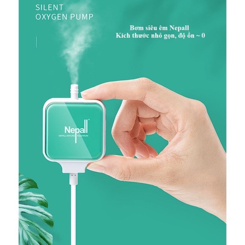 Máy sủi oxi siêu êm hãng Nepall k gây tiếng ồn - sủi oxy