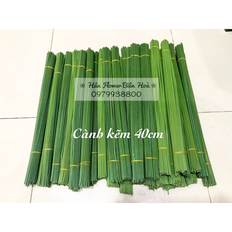 Cành kẽm cắm hoa
