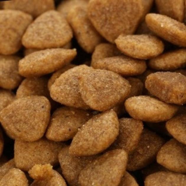 Hạt thức ăn mèo túi chiết 1kg - Catsrang, Cat eye, cat on