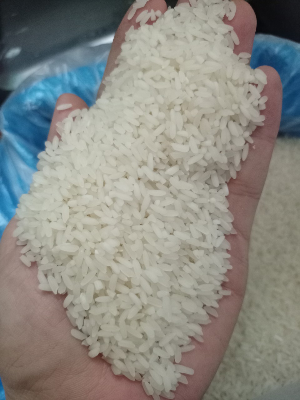 Gạo Bắc Hương- Bắc Thơm hải hậu Nam Định loại 5kg thơm ngon, dẻo, giòn, đậm cơm