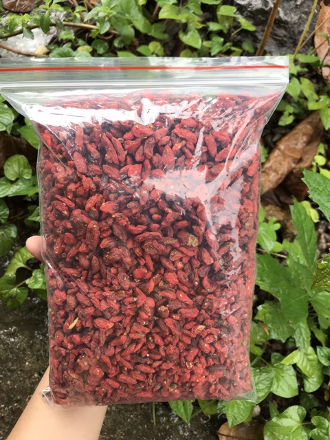 Câu kỉ tử nguyên hạt loại đặc biệt -Đặc sản Hòa Bình 28
