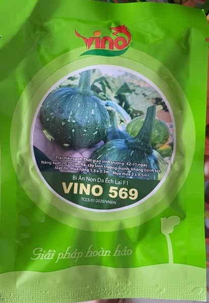 Hạt giống bí ăn non da ếch vino 569