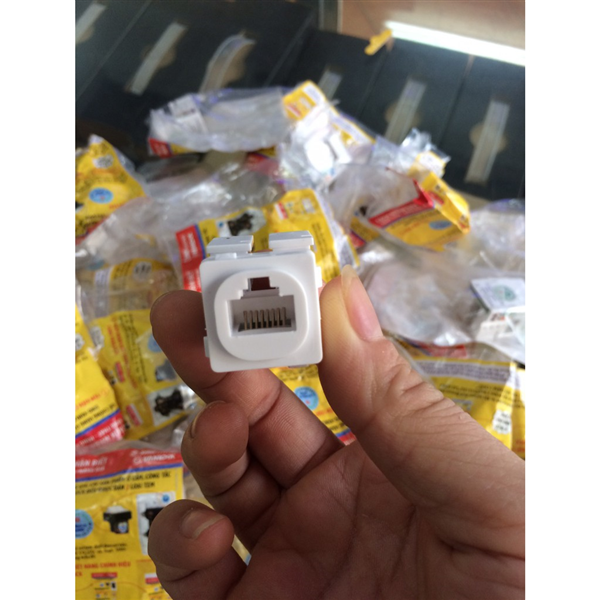 Ổ cắm, Nhân mạng, hạt mạng Sino S18