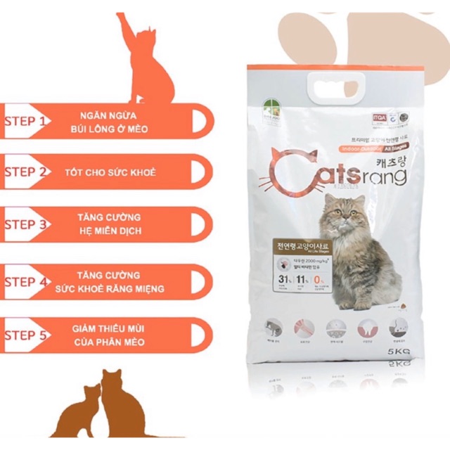 Combo hạt + pate nhiều Combo lựa chọn