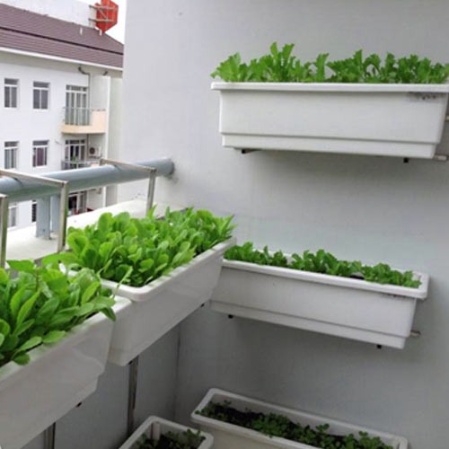 Chậu nhựa dài thông minh, giá treo size 67cm( size to) đủ màu