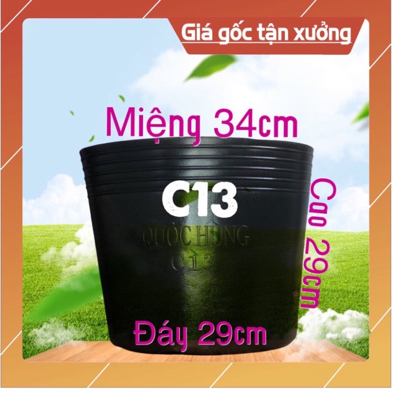 Combo 50 chậu nhựa trồng cây C13