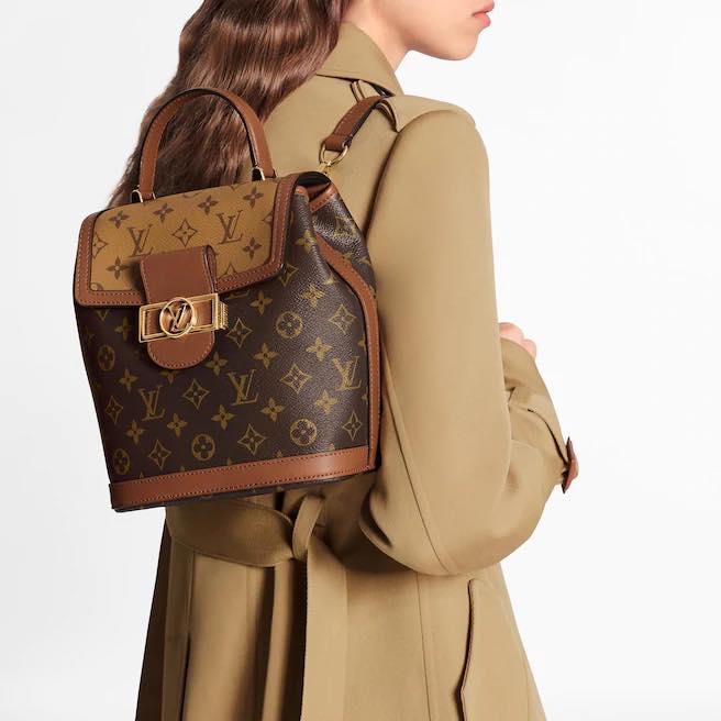 Brown louis vuitton backpack hires stock photography and images  Alamy