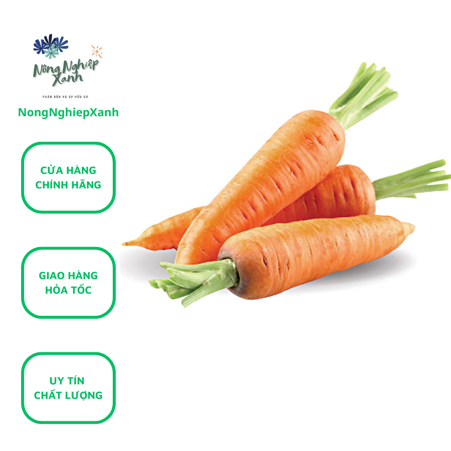Hạt Giống Cà Rốt Orange dễ trồng, giống sạch gói 2gr - hat giong carrot sach de trong NongNghiepXanh
