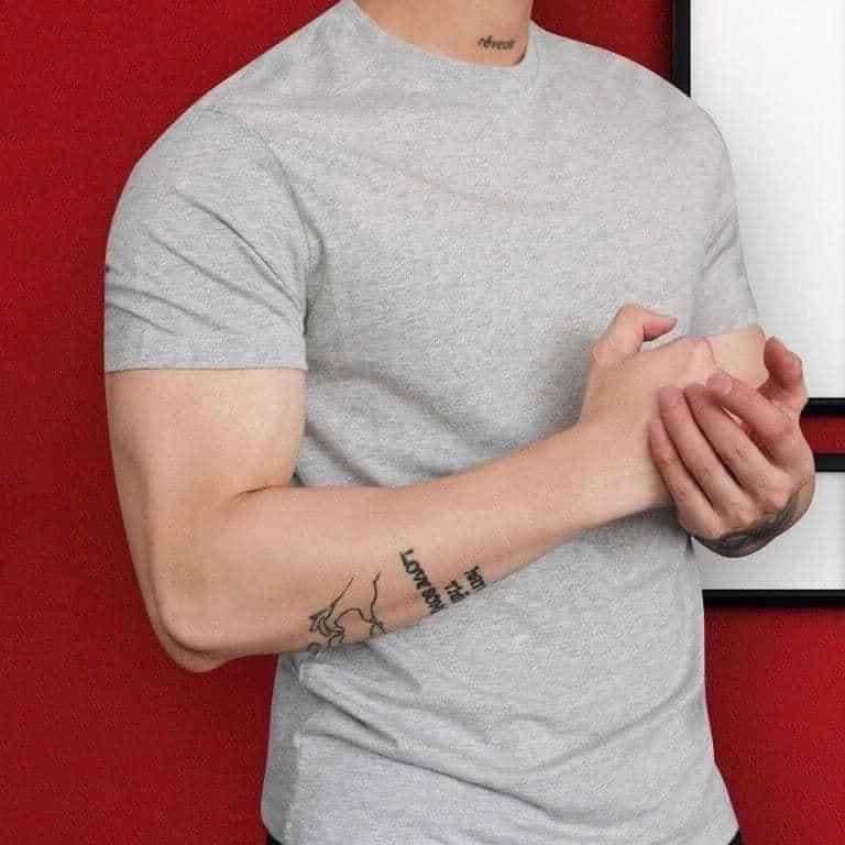 Round Neck T-Shirt for Men and Women in Many Colors, Plain Style, Short Sleeves, Thick Stretchy Cotton Fabric T-Shirt Model, Body-Hugging Form - 3