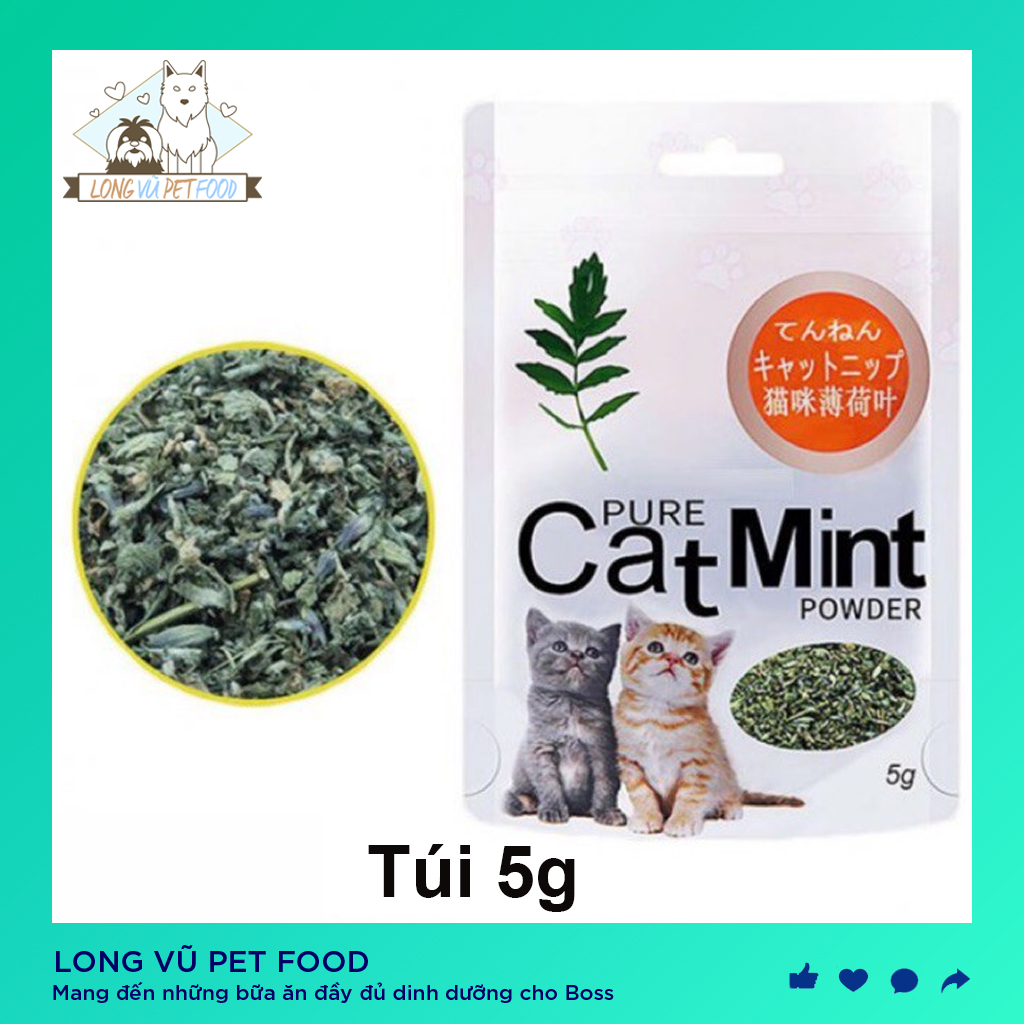 Túi catnip cho mèo cỏ mèo Catmint 5g thư giãn cho mèo - Đồ chơi cho mèo - Long Vũ Pet Food