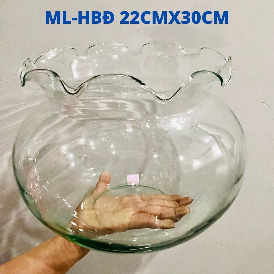 [HCM]Hồ cá thủy tinh KHỔNG LỒ làm bằng tay HOMEMADE - Làm quà tặng BT-HBĐ85