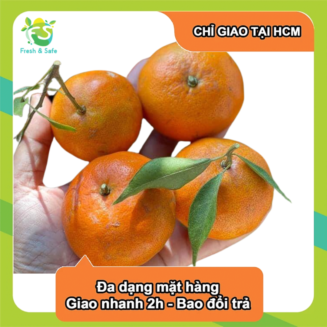 [Chỉ Giao HCM] Quýt tiều - 1kg