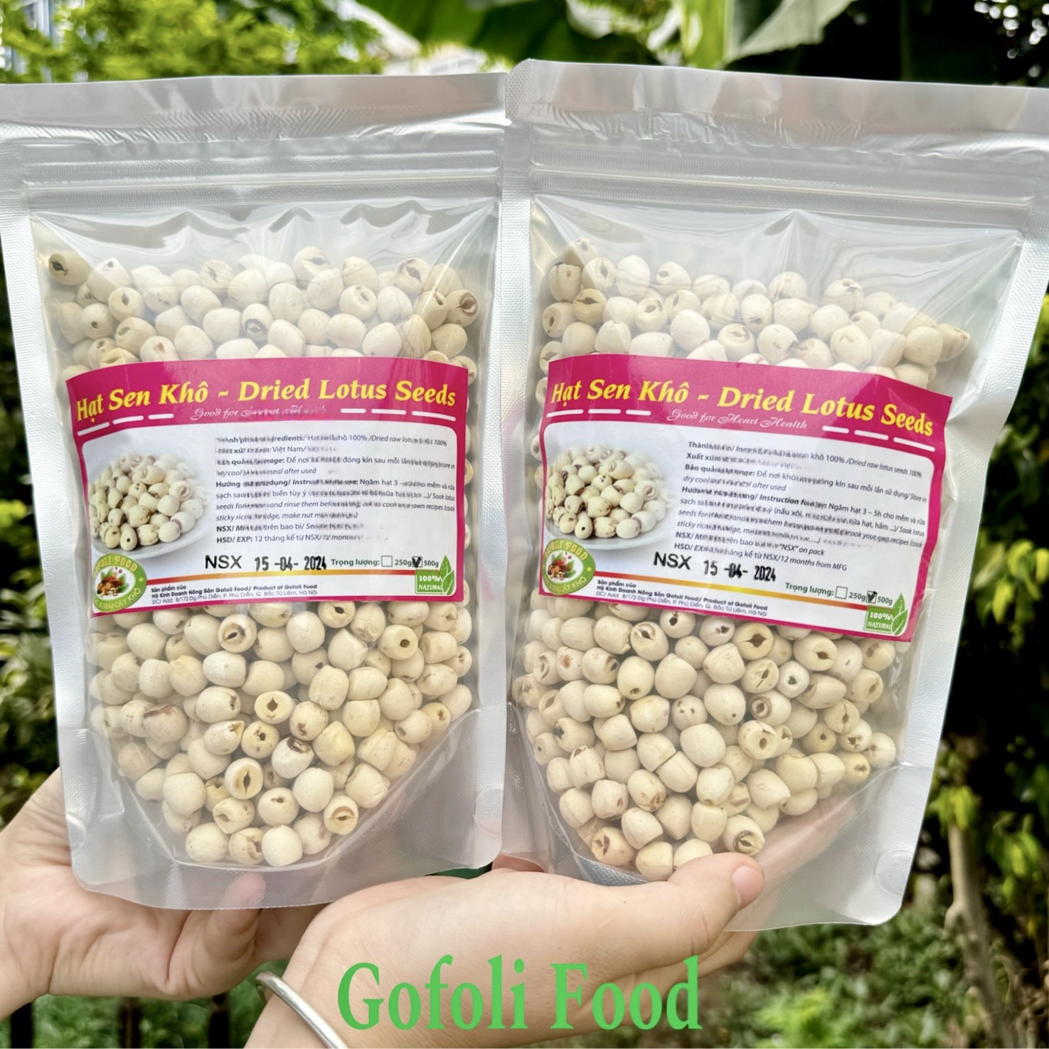 Hạt sen khô Gofoli 500g, nguyên hạt, hạt bở, già hạt, hàng tuyển, nấu ăn thơm bùi ngon, giúp ngủ ngon, tốt cho tim mạch / Whole dried raw lotus seeds, high quality