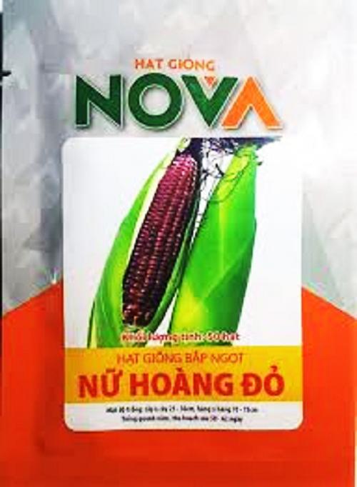 COMBO 10 GÓI  : Hạt giống Bắp Ngọt Nữ Hoàng Đỏ   _KLT  50 hạt .