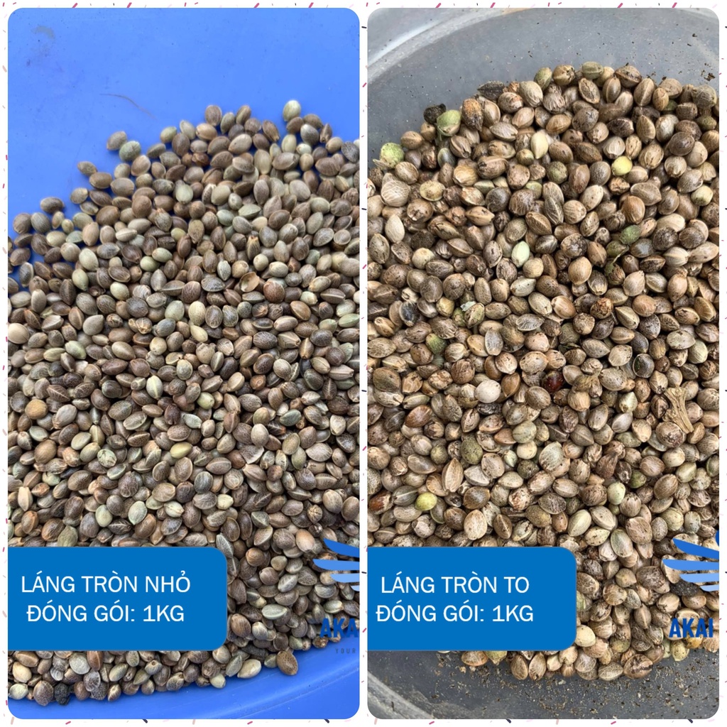 Hạt láng tròn dành cho vẹt, hamster, sóc, chim cảnh...