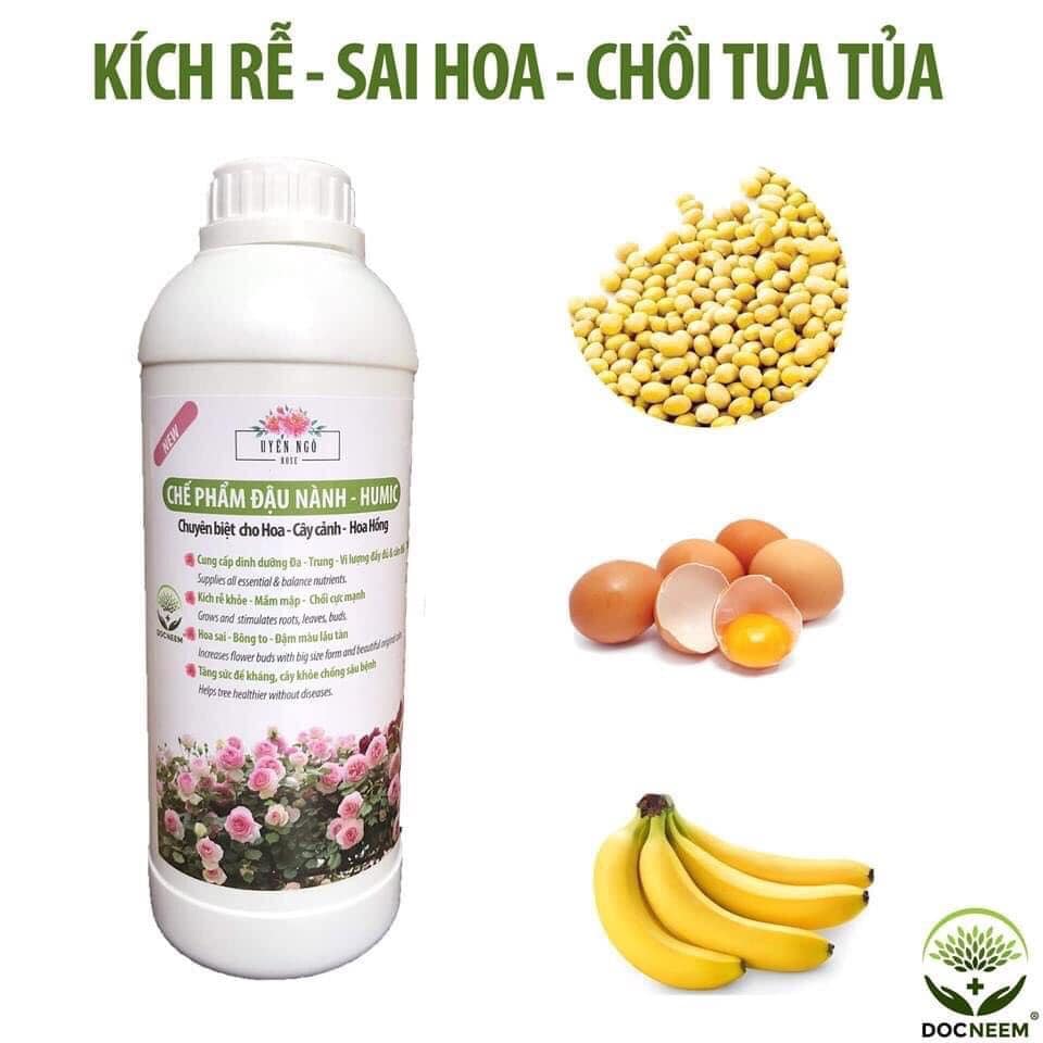 Chế phẩm đậu nành trứng chuối lên men humic