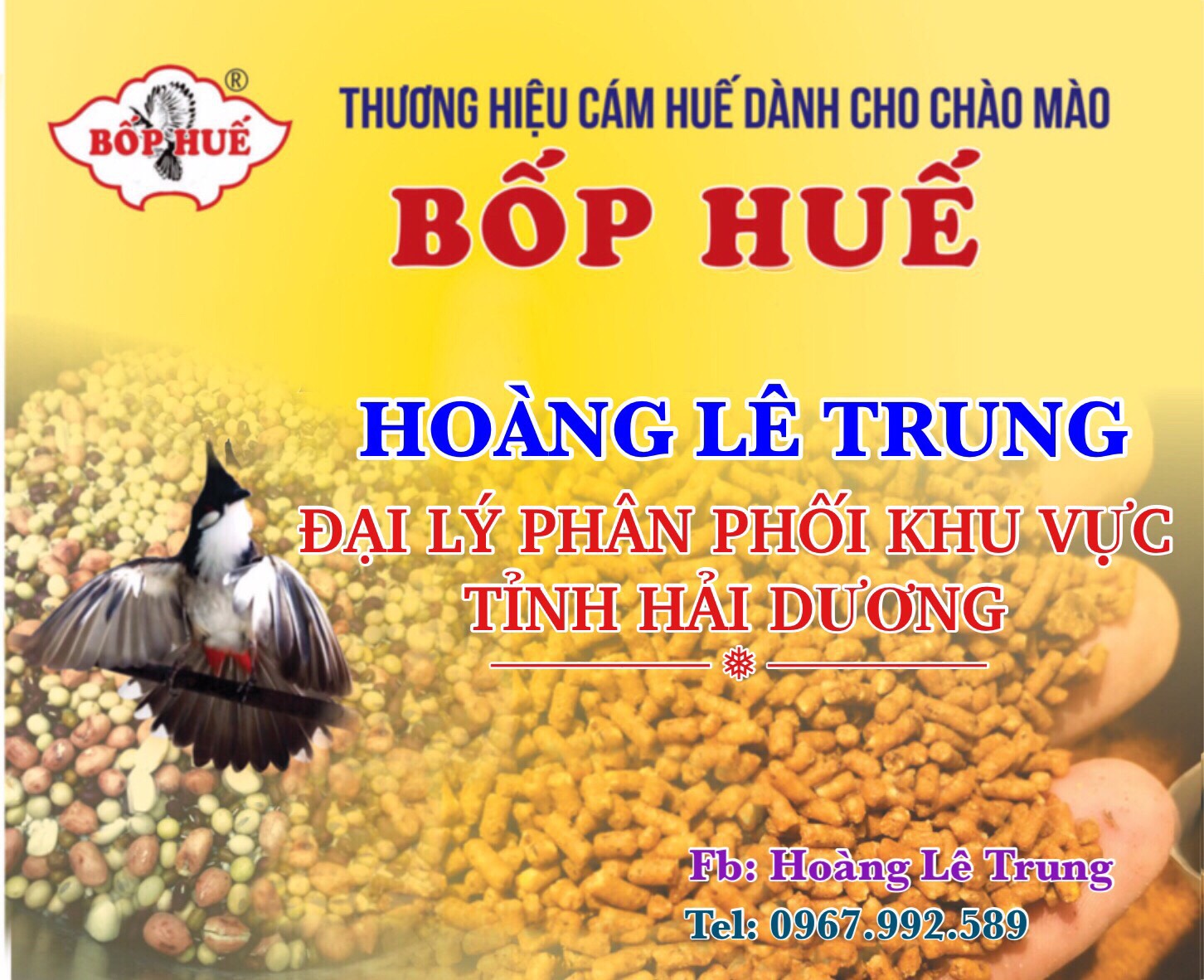 Cám chào mào dinh dưỡng cao cấp bốp huế - cám thi đấu 2 trong 1 - đẳng cấp trên mọi đấu trường
