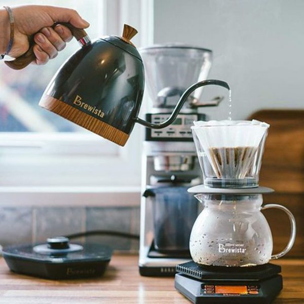Ấm pha cà phê Brewista Artisan 600ml Gooseneck Variable Kettle