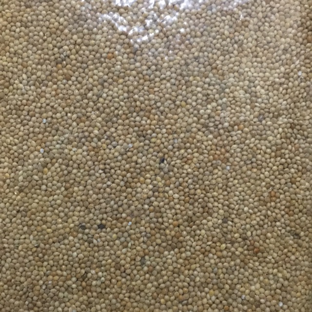 Hạt Kê mềm của Pháp