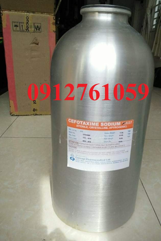 [10KG] Kháng sinh CEFOTAXIME SODIUM 98% - CONCEPT (Nhập khẩu Ấn Độ, nguyên đai, nguyên kiện)