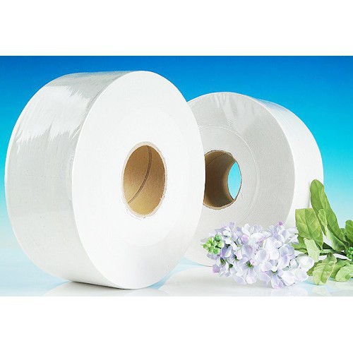 Combo 2 cuộn giấy vệ sinh cuộn lớn loại 1 cuộn 500g