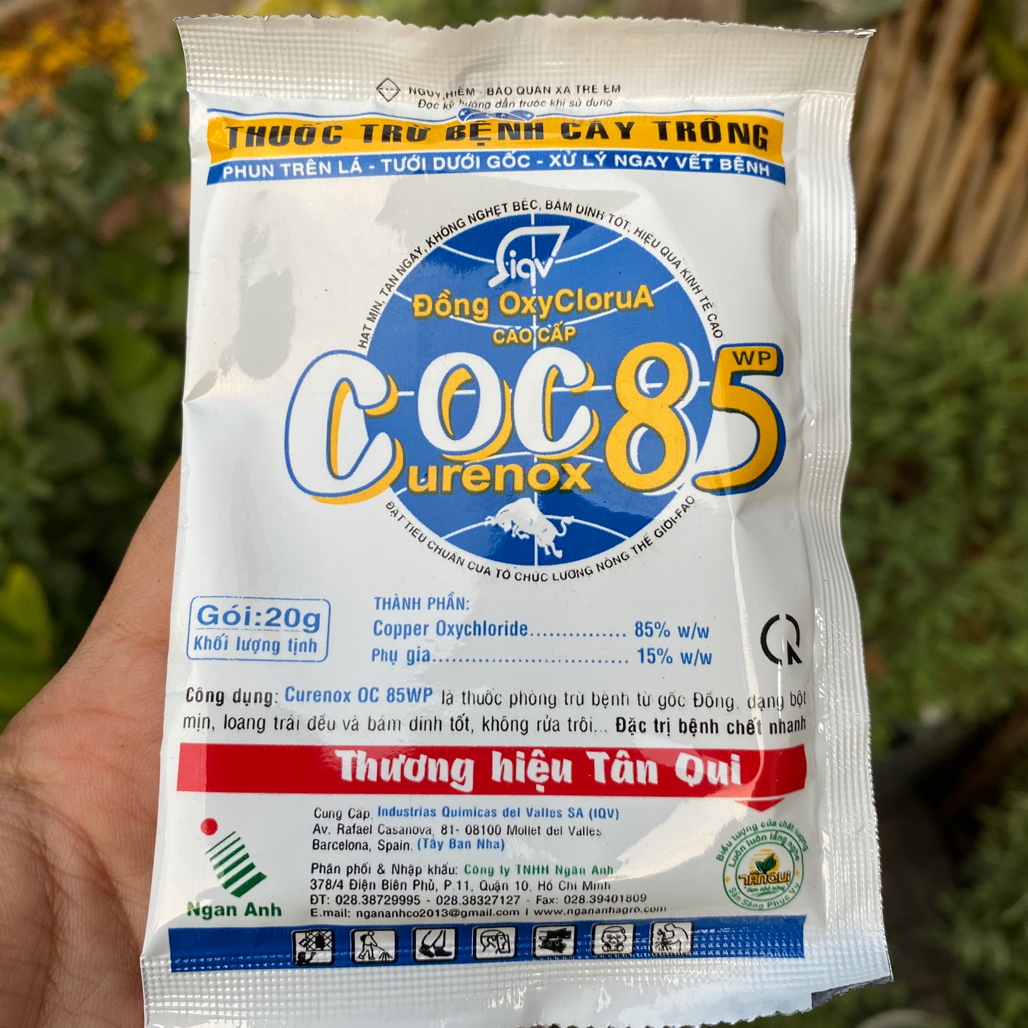COC85  - SEN ĐÁ XƯƠNG RỒNG