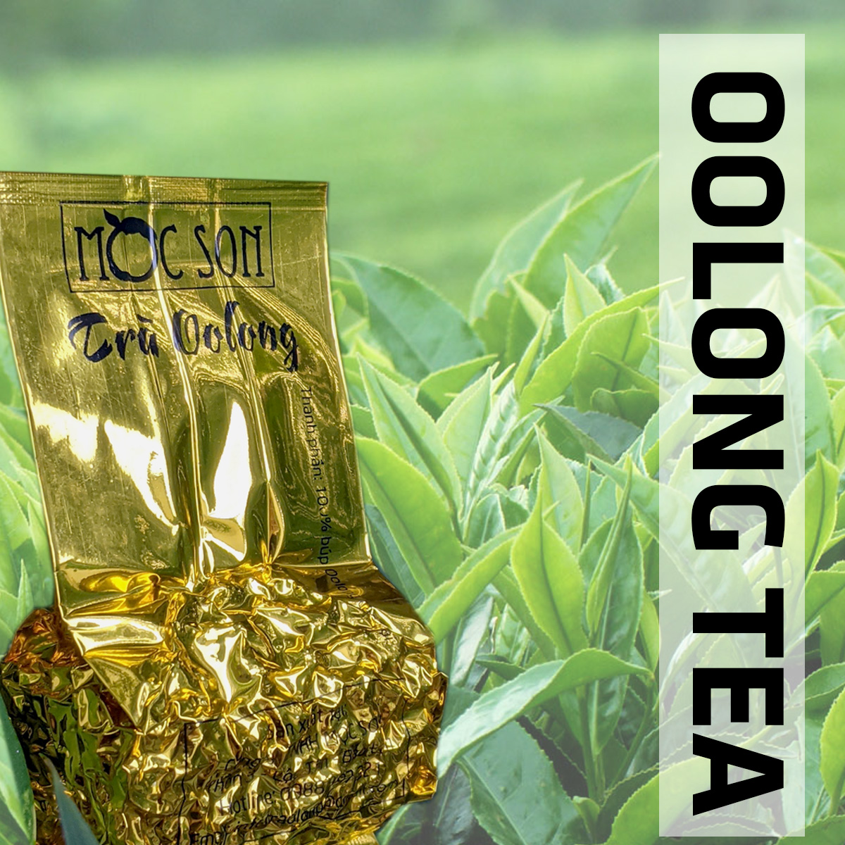 [Hoàn Tiền 10%][HCM]50g Vi Olong (Olong Đọt) Mộc Sơn