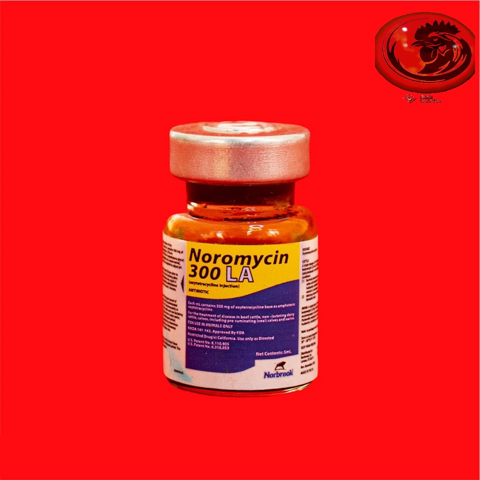 NOROMYCIN 300 chuyên khò cho gà đá chai 5 ml