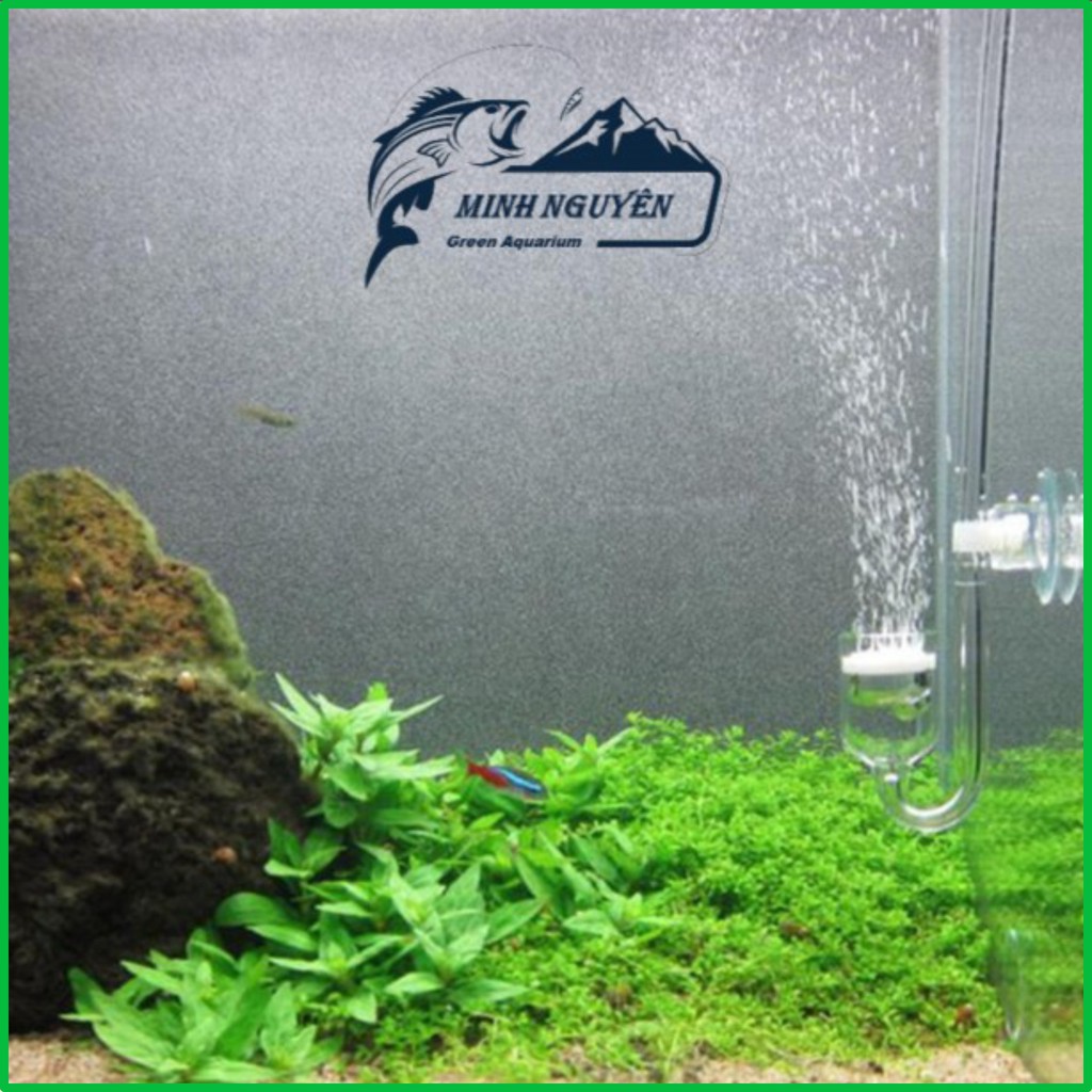 Bộ ống sủi Co2 thủy tinh chống gập | ống Co2 thủy tinh(Full bộ 4 món)