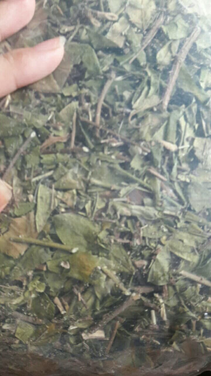 Dây cà gai leo giải độc gan: 85000 đồng/ 1kg.