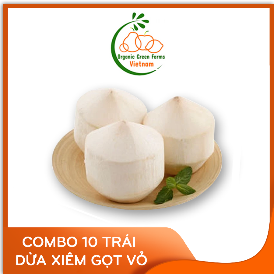 [OGF] - Combo 10 Trái dừa xiêm Bến Tre gọt trọc - [ Giao nhanh 4h HCM ] - Thanh mát dịu ngọt rất sảng khoái
