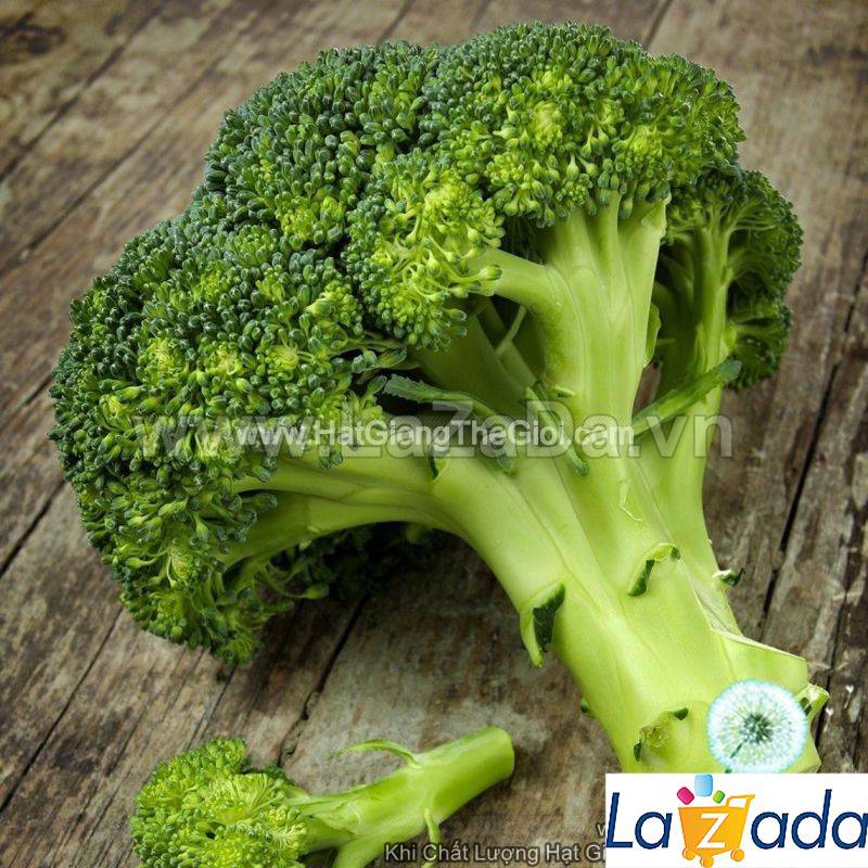 20GR 6000.HẠT Hạt Giống Súp Lơ Xanh (| C47*W35)
