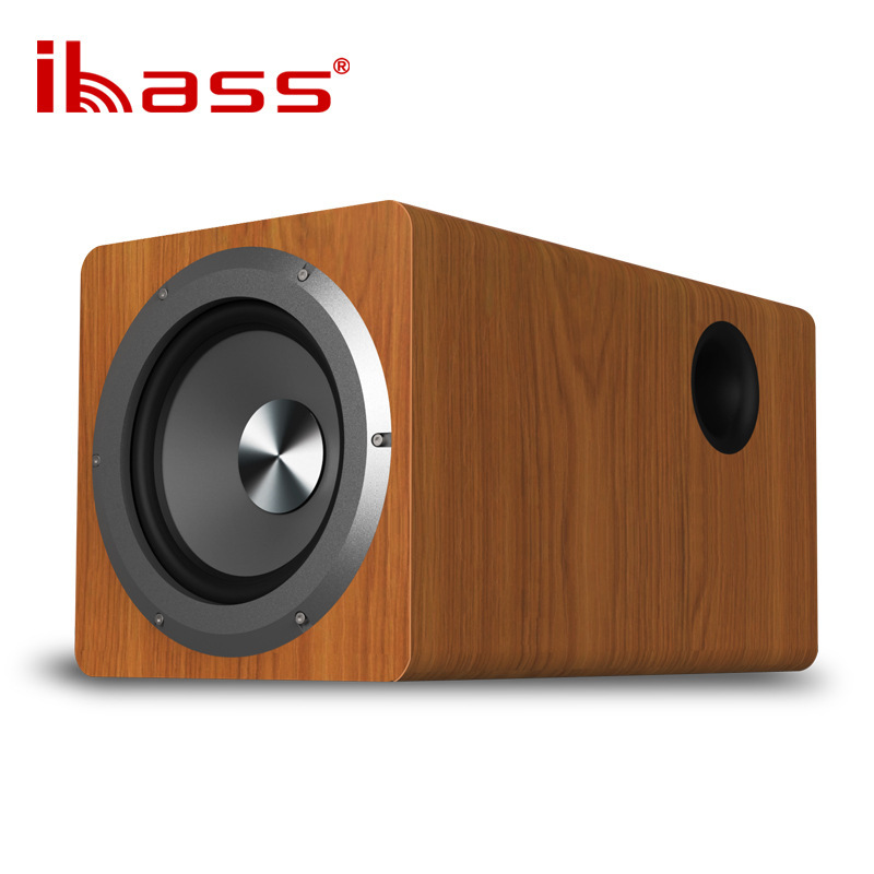 loa siêu trầm subwoofer 100W
