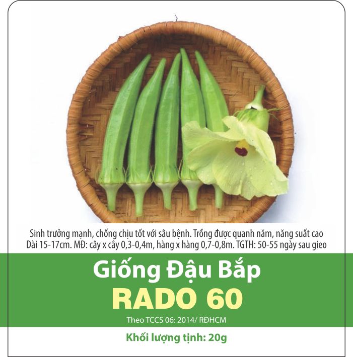 Hạt giống đậu bắp xanh cao sản