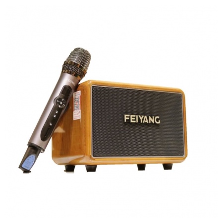 Loa kéo mini temeisheng feiyang qx 0602 hàng , loa karaoke tích hợp equalizer chỉnh âm qua vang số cực hay